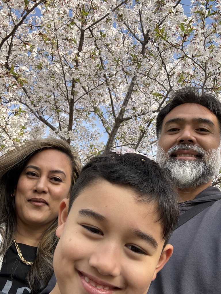 Family under cherry blossoms