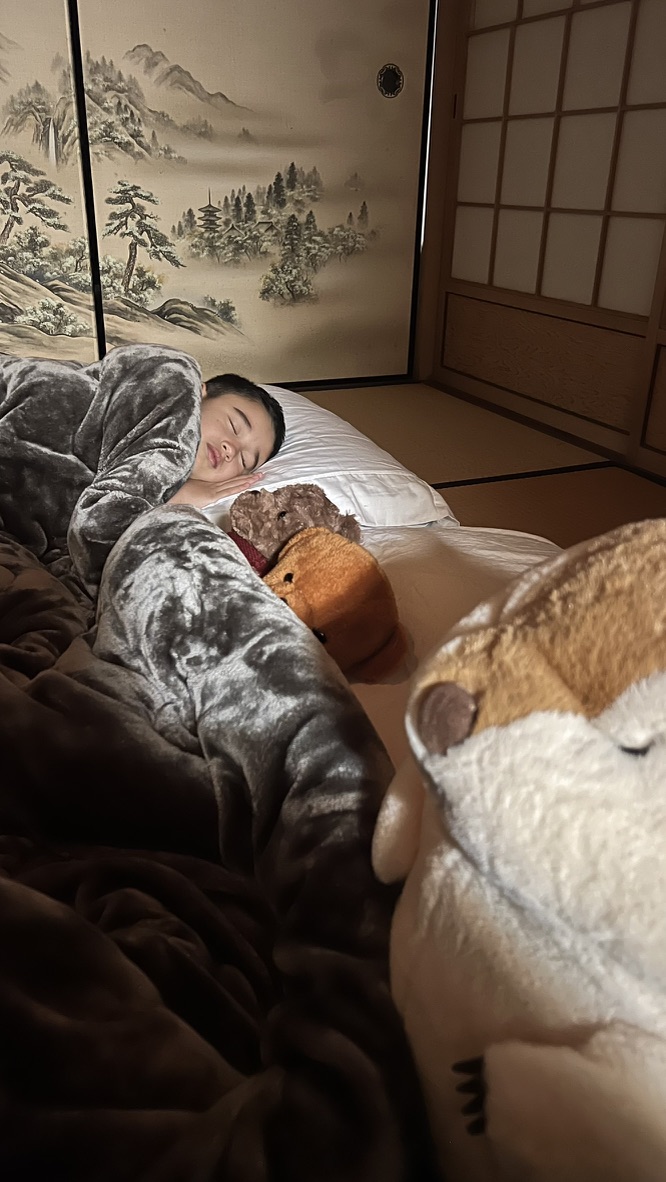 Sora room — twin beds on tatami